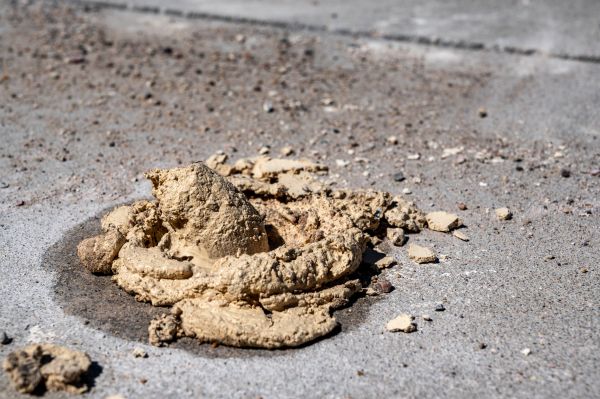 Driveway Slab Leveling